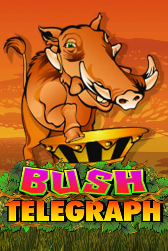 Bush Telegraph ига на фантики | MaxBet без риска